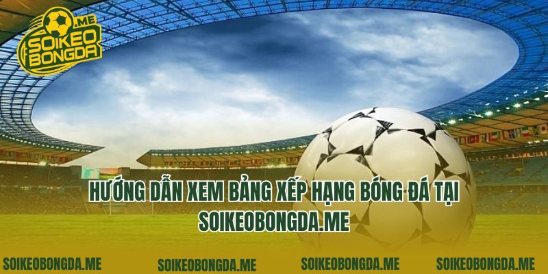 Hướng dẫn xem bảng xếp hạng bóng đá tại lfcvn.com