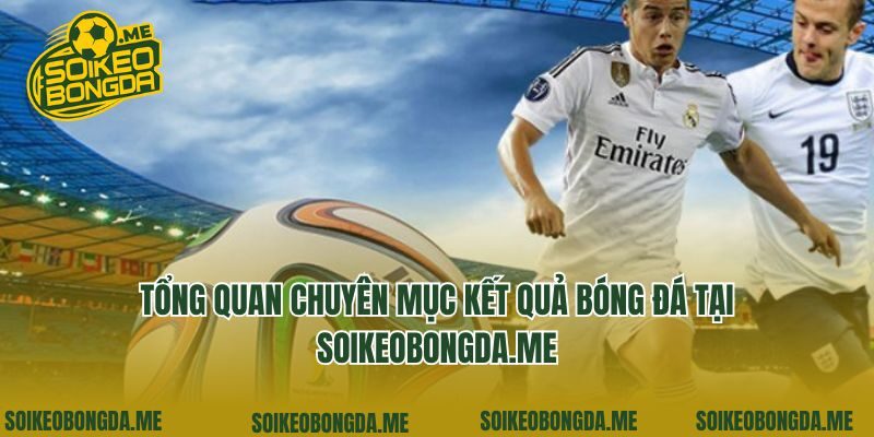 Tổng quan chuyên mục kết quả bóng đá tại lfcvn.com