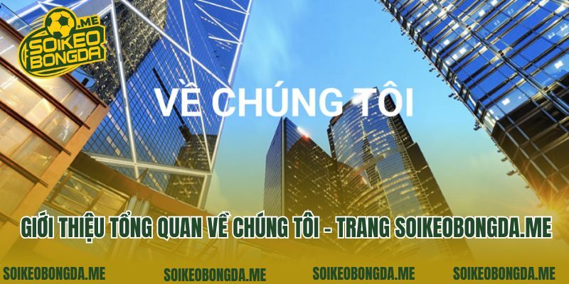 Giới thiệu tổng quan về chúng tôi - trang lfcvn.com