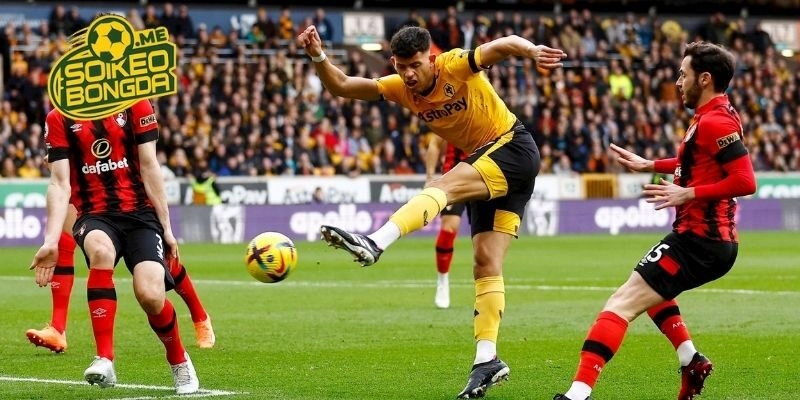 Tình hình phong độ của Wolves vs Bournemouth