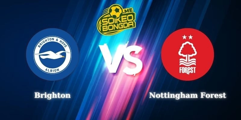 Điểm Tin Soi Kèo Brighton vs Nottingham Forest 21h00 01/03 Ngoại Hạng Anh