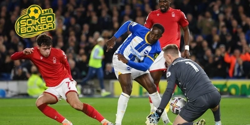 Đánh giá phong độ của Brighton vs Nottingham Forest