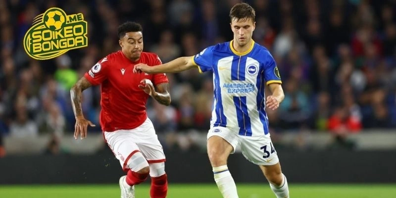 Lịch sử đụng độ của Brighton vs Nottingham Forest