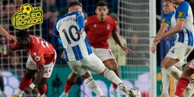 Phân tích, soi kèo Brighton vs Nottingham Forest trong giải Ngoại Hạng Anh 2026