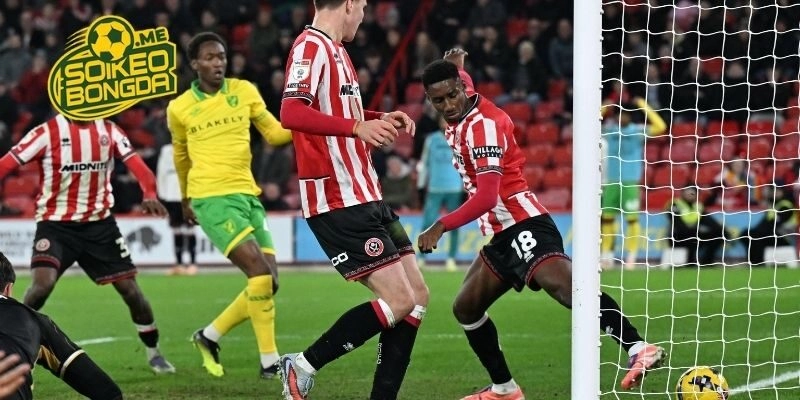 Lịch sử đụng độ của Norwich City vs Sheffield United